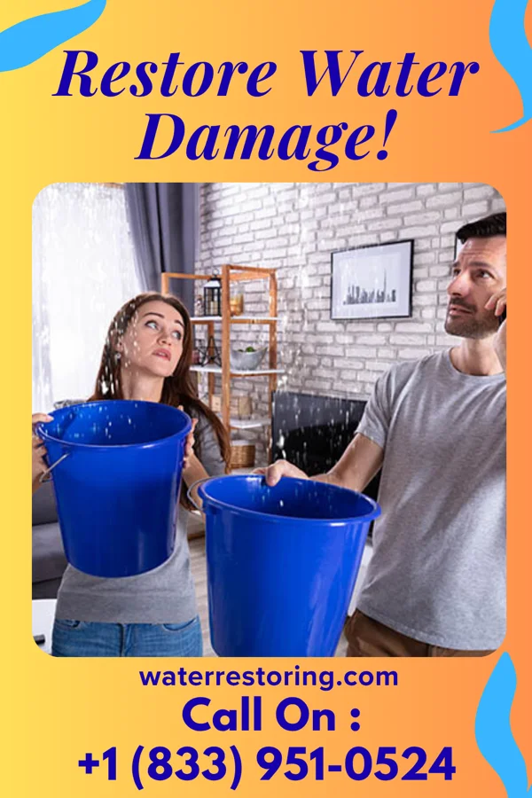 water restoration Reliable Water Removal Services Windsor