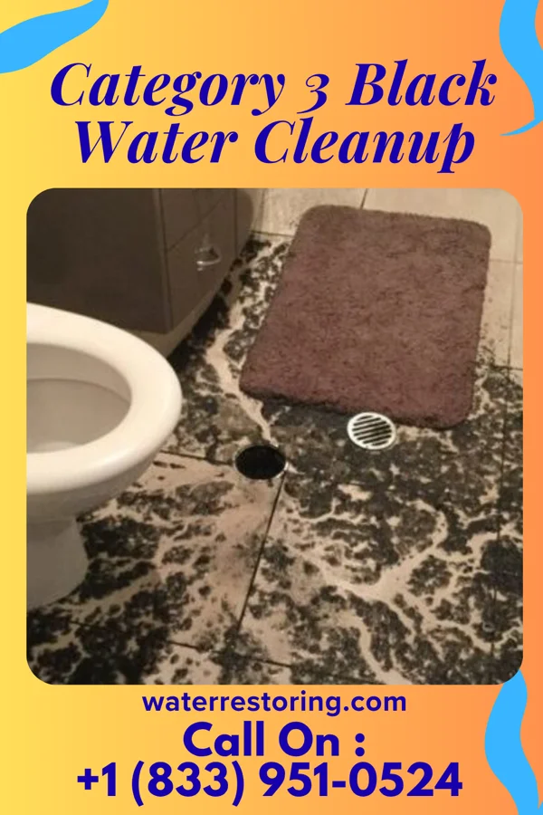 Category 3 Black Water Cleanup in Windsor, PA