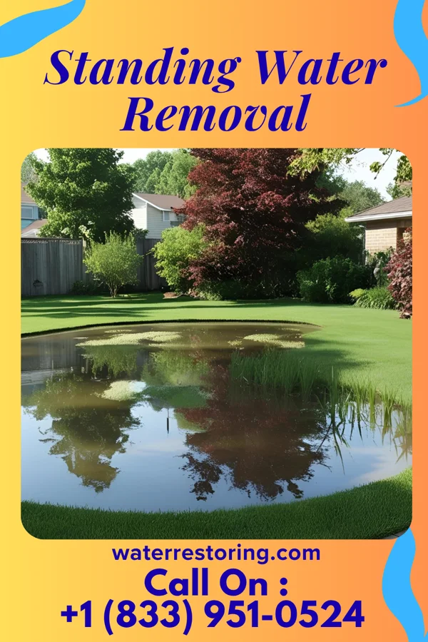 Standing Water Removal in Windsor, PA